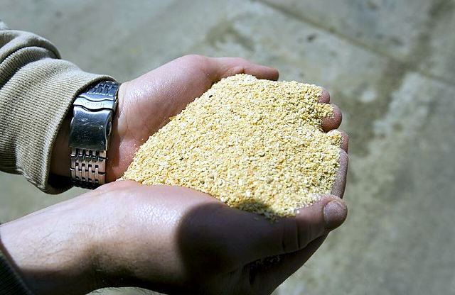 Farelo de soja